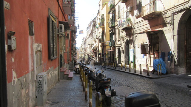 IMG 0003