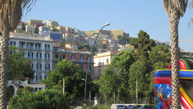 IMG 0058