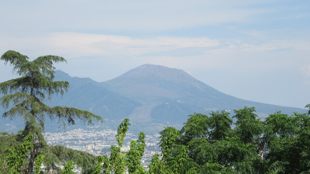 IMG 0153