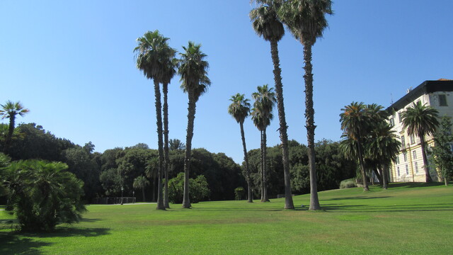 IMG 0161